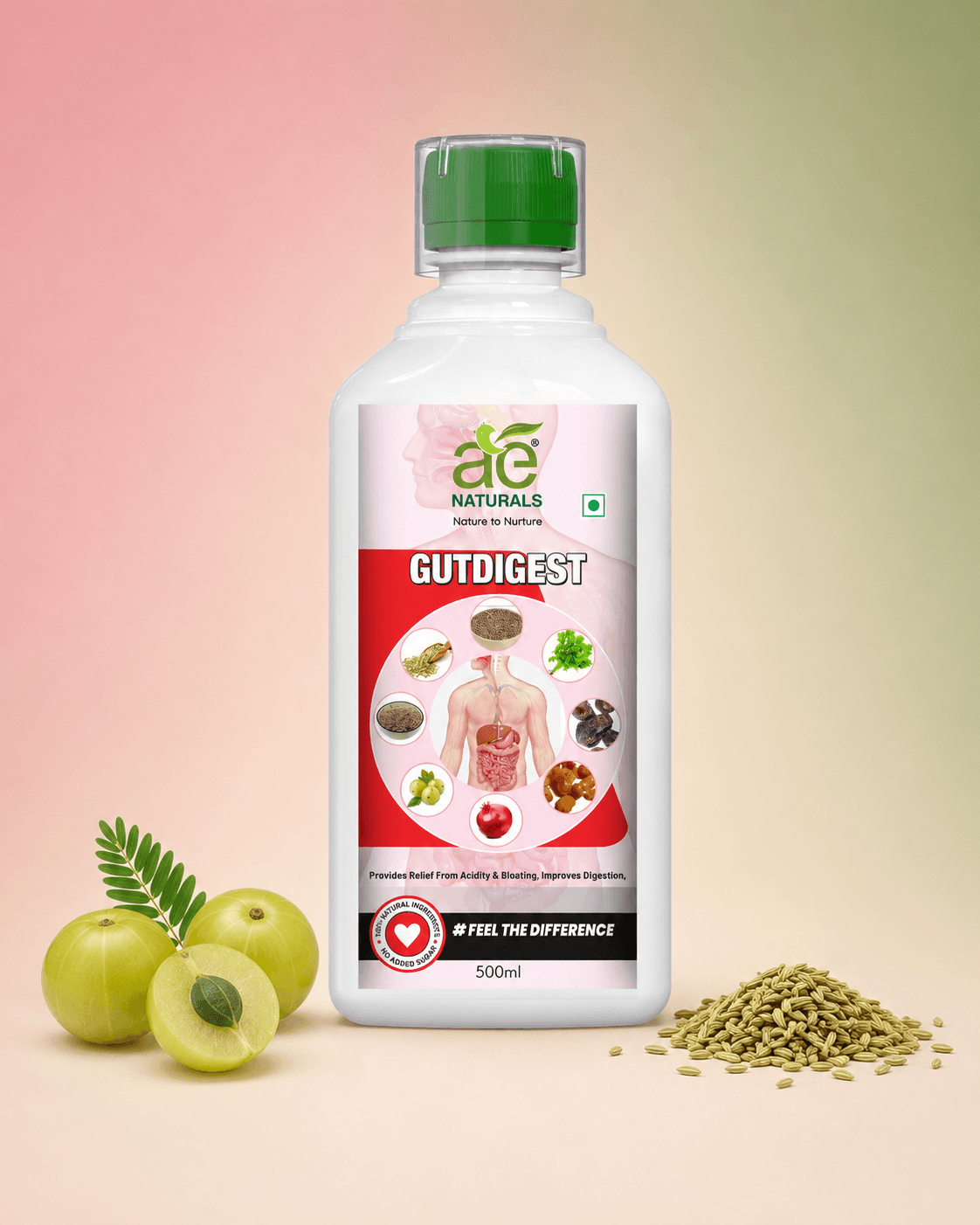 AE Naturals Gutdigest Herbal Juice 500ml