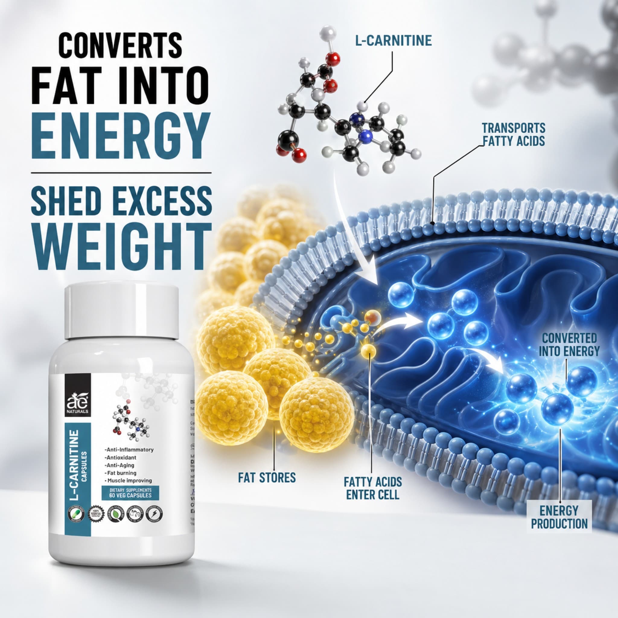 L-Carnitine Energy and Muscle Boost Capsules 60 Caps thumbnail 4