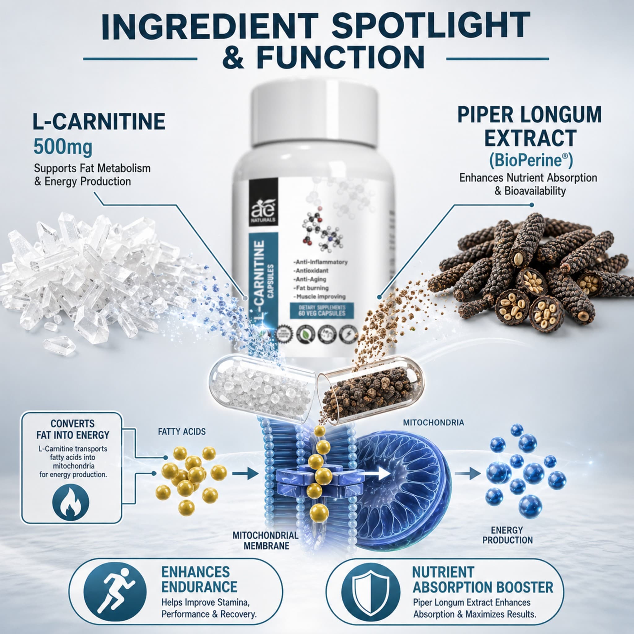L-Carnitine Energy and Muscle Boost Capsules 60 Caps thumbnail 5